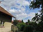Třibřichy