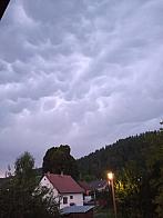 Hvozdnica