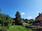 Olešná