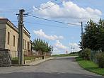 Třibřichy