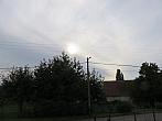 Třibřichy