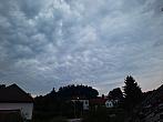 Olešná