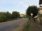 Třibřichy