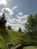 Skalité