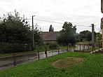 Třibřichy