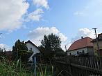 Třibřichy