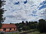 Olešná