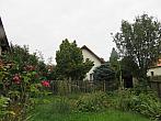 Třibřichy