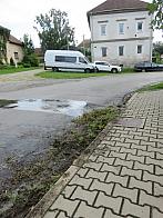 Třibřichy