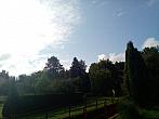 Olešná
