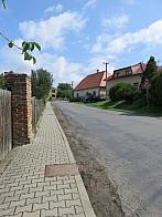Třibřichy