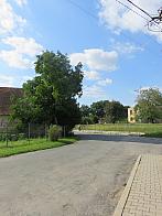 Třibřichy