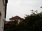 Olešná