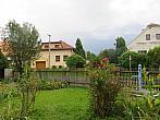 Třibřichy