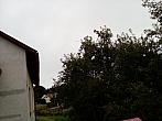 Olešná