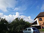 Olešná