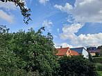 Olešná