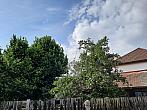 Olešná