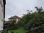 Olešná