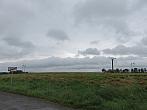 Třibřichy