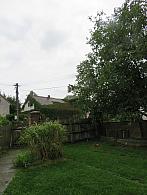 Třibřichy