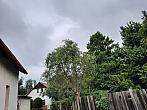 Olešná