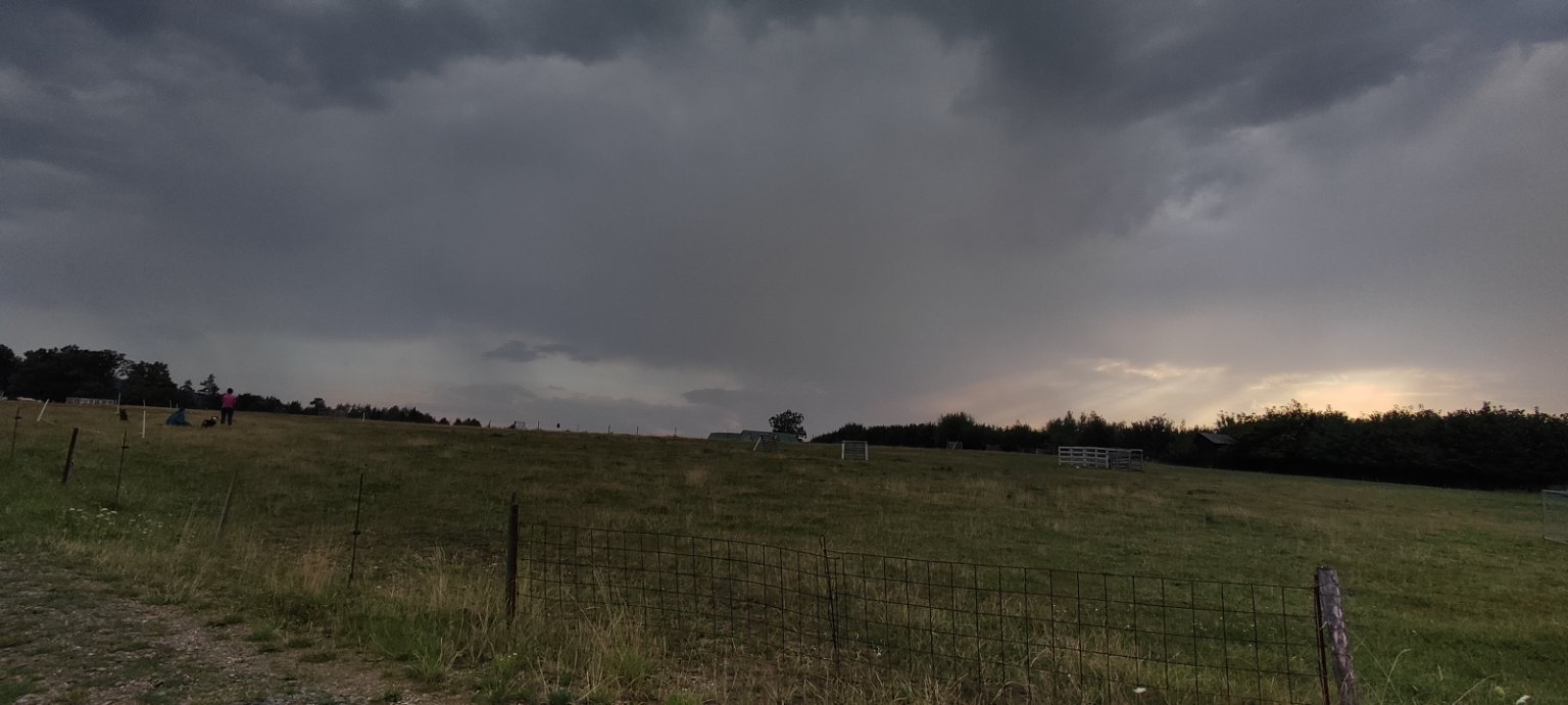 Rybí