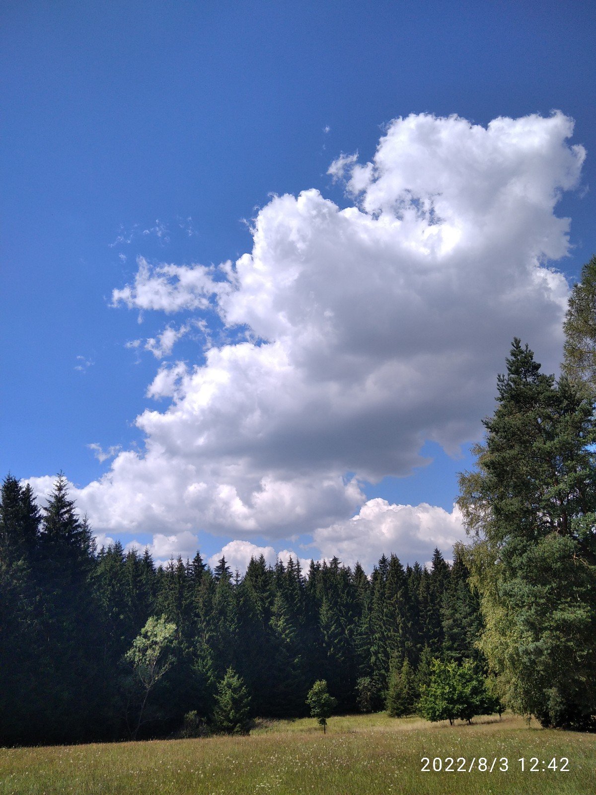 Svratka