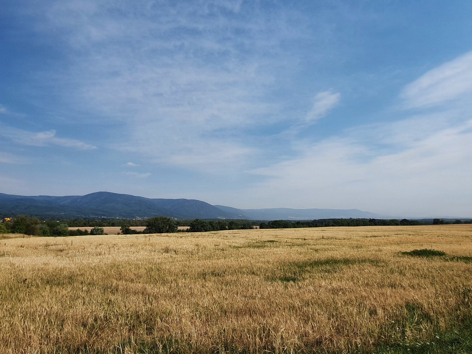 Otvice