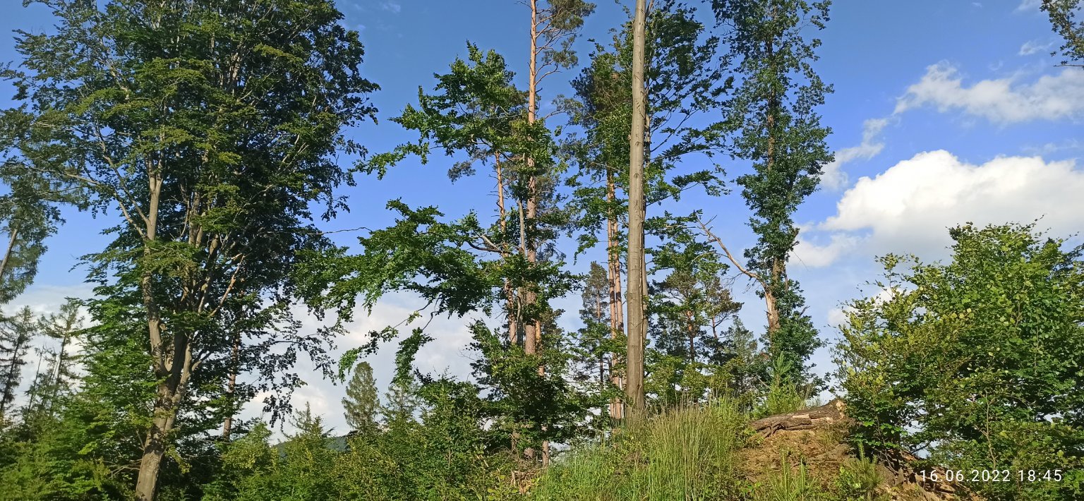 Zlaté Hory
