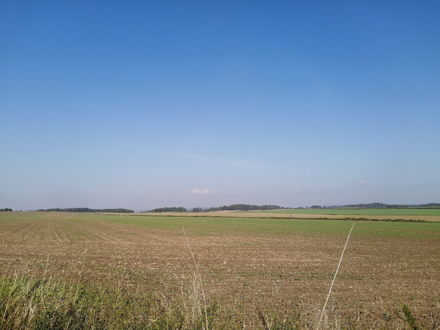 Hostákov