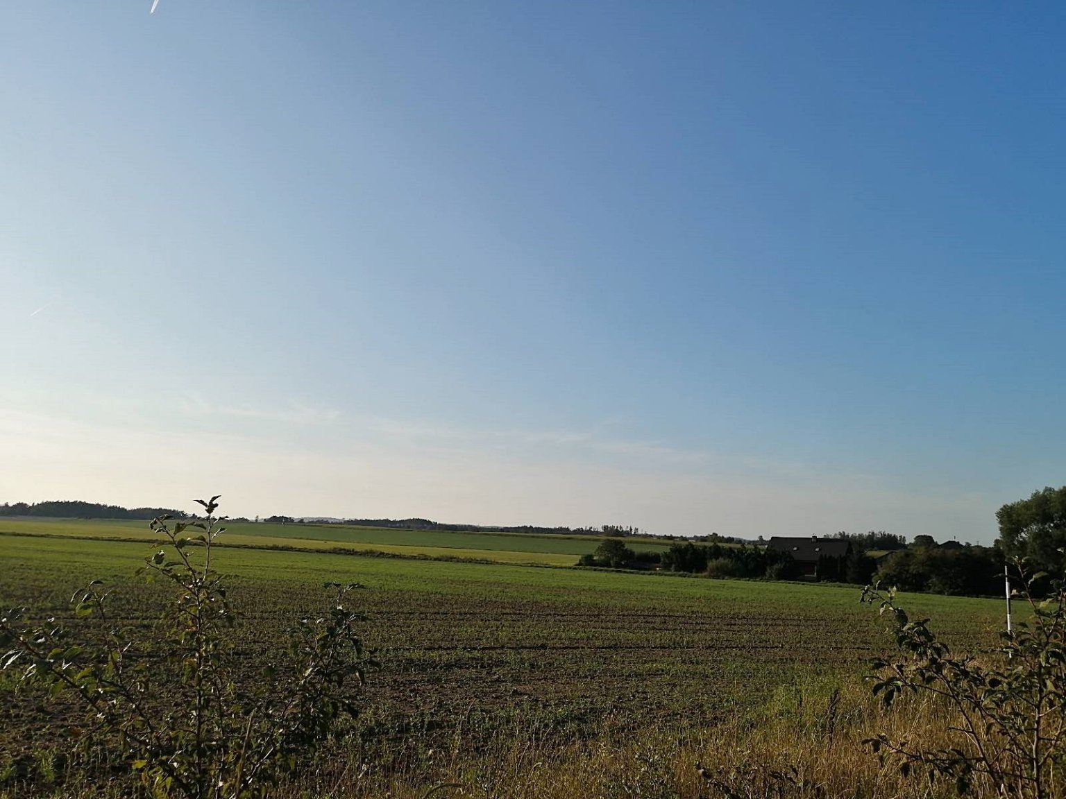 Hostákov