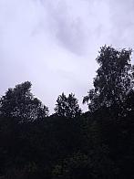 Fotografie