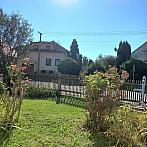 Třibřichy