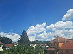 Olešná