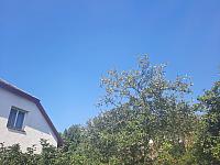 Olešná