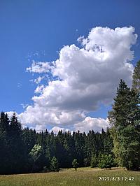 Svratka