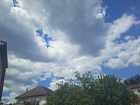 Olešná
