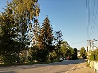 Skalité
