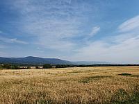 Otvice