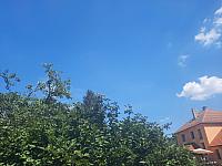 Olešná