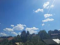 Olešná