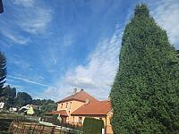 Olešná