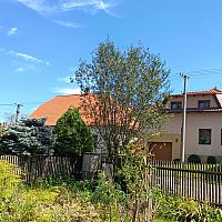 Třibřichy