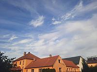 Olešná