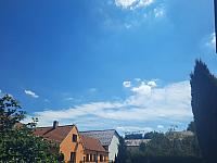 Olešná