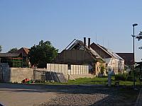 Třibřichy