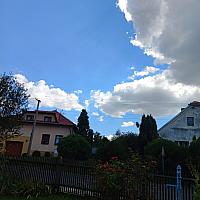 Třibřichy