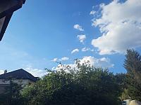 Olešná