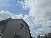 Olešná